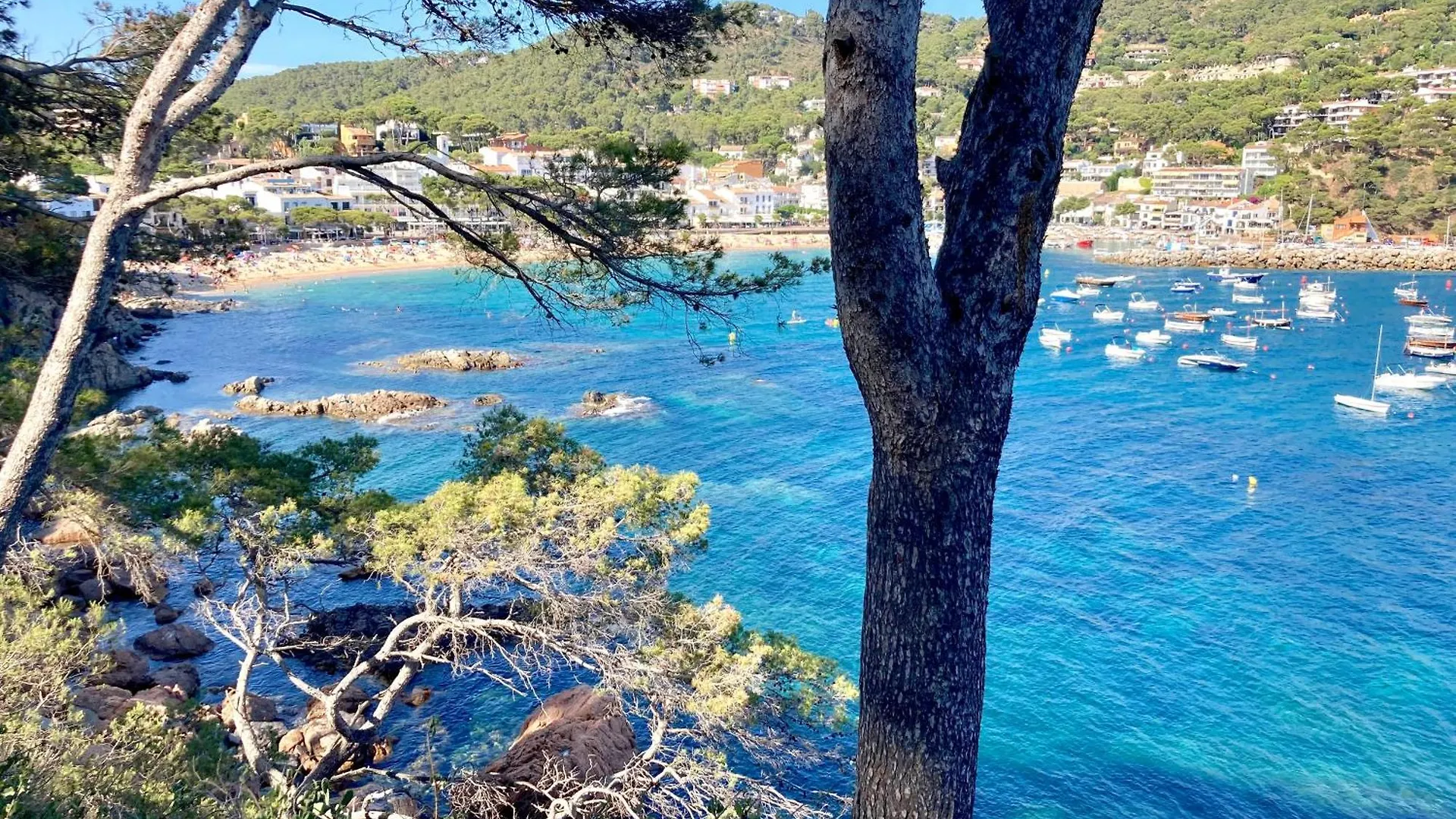 1 Mars 1 - Llafranc Διαμέρισμα